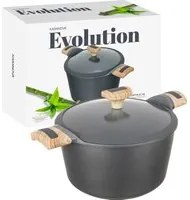 Pentola 22 cm con coperchio Evolution