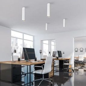 Faretto TUNE L 1xGU10/10W/230V 24 cm bianco