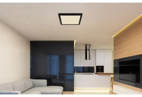 Globo 12380-24B - Plafoniera LED LASSE LED/24W/230V 3000/4000/6500K nero