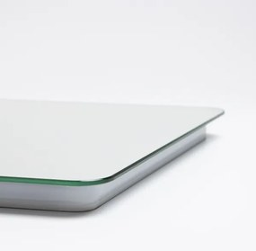 Brilagi - Specchio da bagno LED dimmerabile, antiappannante e retroilluminato DIANA LED/13W/230V 40x60 cm IP44