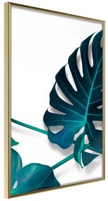 Poster  Turquoise Monstera I  Cornice Quadri Cornice d'oro, Larghezza x Altezza Home decor 20x30