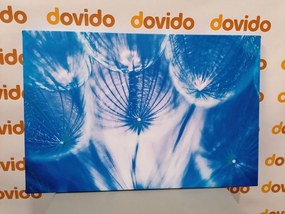 Stampa su tela – Soffione in tonalità blu