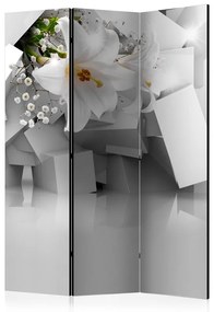 Paravento  Lost in Chaos [Room Dividers]  Colore ---, Dimensioni e Misure 135x172