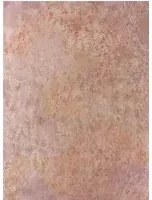 Osborne & Little Carta da parati Fresco - Copper