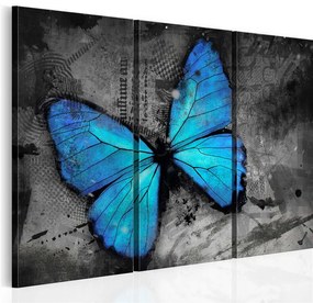 Quadro Studio della farfalla trittico