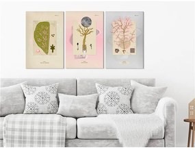 Quadro  Trees (Collection)  Colore Rosa, Dimensioni e Misure 60x30