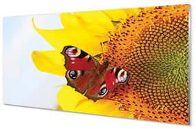 Quadro su vetro acrilico Farfalla di girasole 100x50 cm