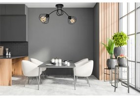 Lampadario a plafone CEED 2xE27/60W/230V