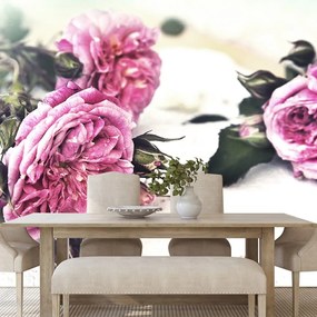 Carta da parati – Rose in fiore