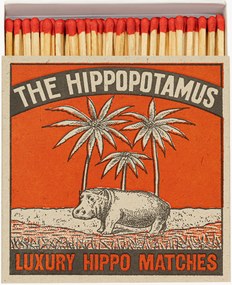 Scatola di fiammiferi di design Hippo