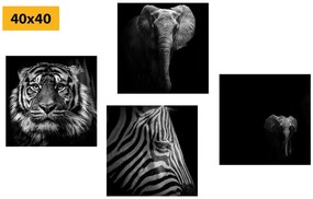 Set di quadri – Animali in stile bianco e nero