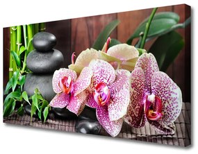 Quadro su tela Centro termale dell'orchidea di bambù 100x50 cm