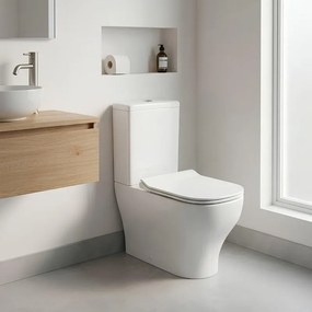 WC monoblocco DF 25 sedile escluso P63 x L37 x H77 cm bianco, compresi cassetta e batteria interna.