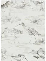 Vogel Tapete Estuary Birds von Sanderson - Chalk/ Sepia