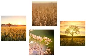 Set di quadri – Campo al tramonto
