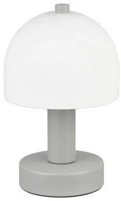 Lampada da tavolo grigia con paralume in vetro (altezza totale 19 cm) Glenn – Trio