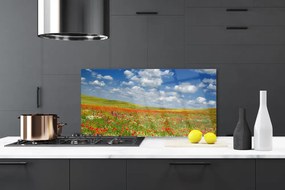 Pannello retrocucina Paesaggio di fiori di prato 100x50 cm