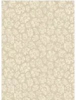 Cole & Son Carta da parati Savanna Shell - 119/4021
