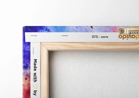Quadro su tela – Nave vichinga