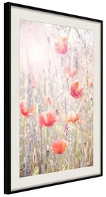 Poster  Poppies  Cornice Quadri Cornice nera con pass-partout, Larghezza x Altezza Home decor 20x30