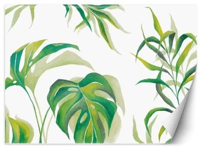 Carta Da Parati, Monstera Foglia Piante Verde  Dimensioni 100x70, Finitura Carta da Parati Effetto spazzolato, Tipo di Carta da Parati