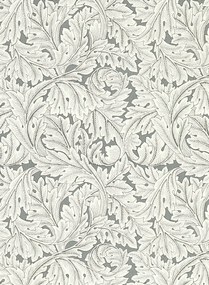 Clarke & Clarke Carta da parati Acanthus - Slate