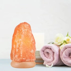 Lampada al sale (SALLY 1xE14/25W/230V