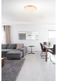 GLOBO 48388-48 - Plafoniera LED con telecomando PIERRE 1xLED/48W/230V