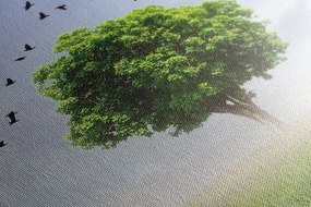 Stampa su tela – Albero solitario nel prato
