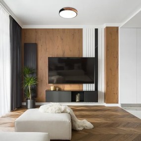 Rabalux 3528 - plafoniera LED MAPLE LED/24W/230V nera