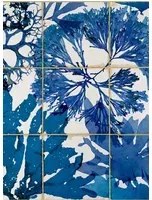 Mindthegap Carta da parati Algae in Blue - WP20179