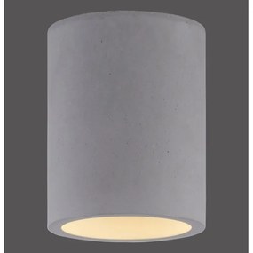 Paul Neuhaus 6160-22 - Faretto ETON 1xGU10/10W/230V