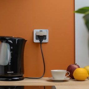 Brilagi - Presa a pavimento da incasso per esterni IP55 cromato opaco rettangolare