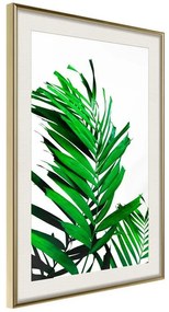 Poster  Emerald Palm  Cornice Quadri Cornice d'oro con passe-partout, Larghezza x Altezza Home decor 40x60