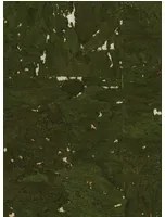 Osborne & Little Tapete Kanoko Cork - Olive