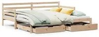 Dormeuse con Letto Estraibile e Cassetti 90x200cm Massello Pino 3302171