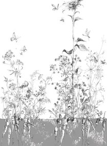 Edmond Petit Carta da parati Lièvres/Fenouil/Tournesol - Gris - Tournesol Droit - Gris