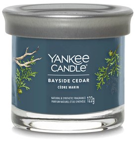 Candela Bayside Cedar in barattolo medio Yankee Candle