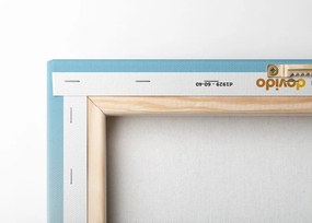 Quadro su tela – Arcobaleno con sfondo astratto Mid-Century