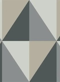 Tapete Apex Grand von Cole & Son - Grey & Black