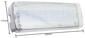 Lampada Emergenza LED S.E. da Soffitto o Parete IP65 - Serie Lux Colore Bianco Freddo 6.000K