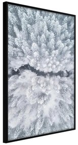 Poster  Winter Forest From a Bird's Eye View  Cornice Quadri Cornice nera, Larghezza x Altezza Home decor 20x30