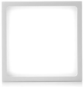 LED2 - Plafoniera LED da esterno CUBE LED/12W/230V bianca
