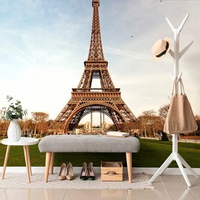 Carta da parati – Famosa Torre Eiffel