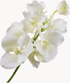 Set di 2 fiori artificiali Vanda
