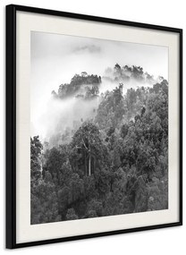 Poster  Foggy Forest  Cornice Quadri Cornice nera con pass-partout, Larghezza x Altezza Home decor 50x50