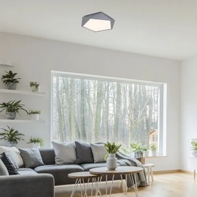 Rabalux 71251 - Plafoniera LED RAFFA LED/30W/230V 3000K