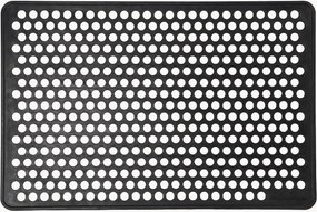 Zerbino Dot
