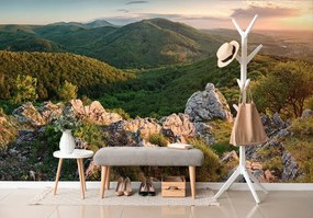 Carta da parati – Natura illuminata dal sole