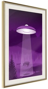 Poster  Flying Saucer  Cornice Quadri Cornice d'oro con passe-partout, Larghezza x Altezza Home decor 20x30